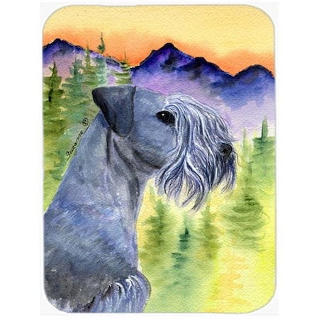 Carolines Treasures Carolines Treasures SS8232LCB Cesky Terrier Glass Cutting Board - Large SS8232LCB